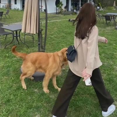 芭比之魔法公主